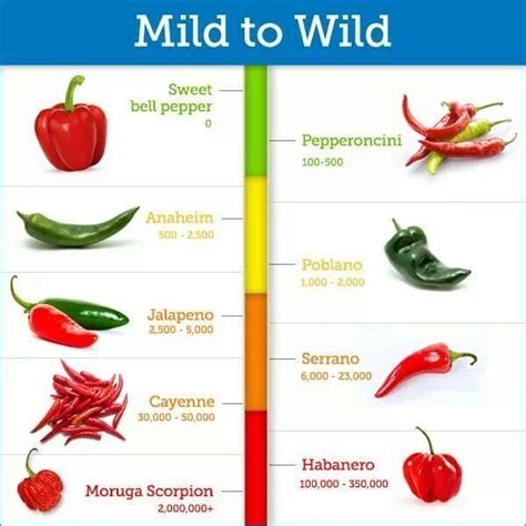 Pepper Heat Scale | Bob's Bored | Pinterest | Stuffed peppers, Stuffed ...