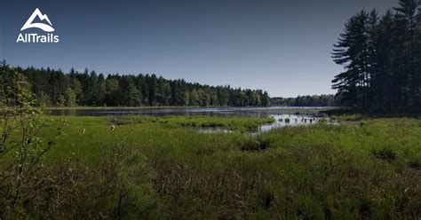 Best trails in Fife Lake, Michigan | AllTrails