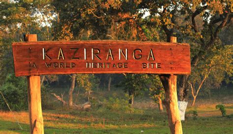 Kaziranga National Park to Reopen Post Monsoon Break on Oct 2, 2017