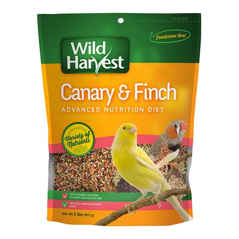 10 Best Canary Bird Food: Top Picks for Healthy and Happy Birds - Hummingbirds Plus