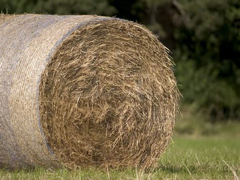 Hay bale 3 stock photo. Image of round, country, agriculture - 167834