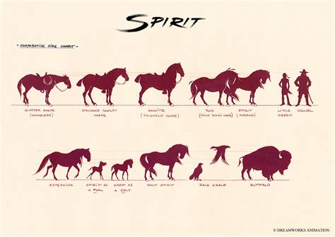 Dreamworks Spirit Stallion Create