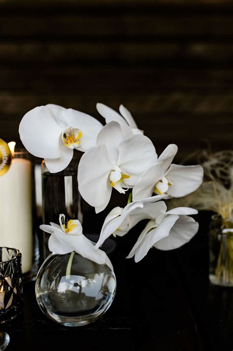 Edelman Summer White and Blush Distillery Wedding Orchid Centerpiece Bud Vase | Orchid ...
