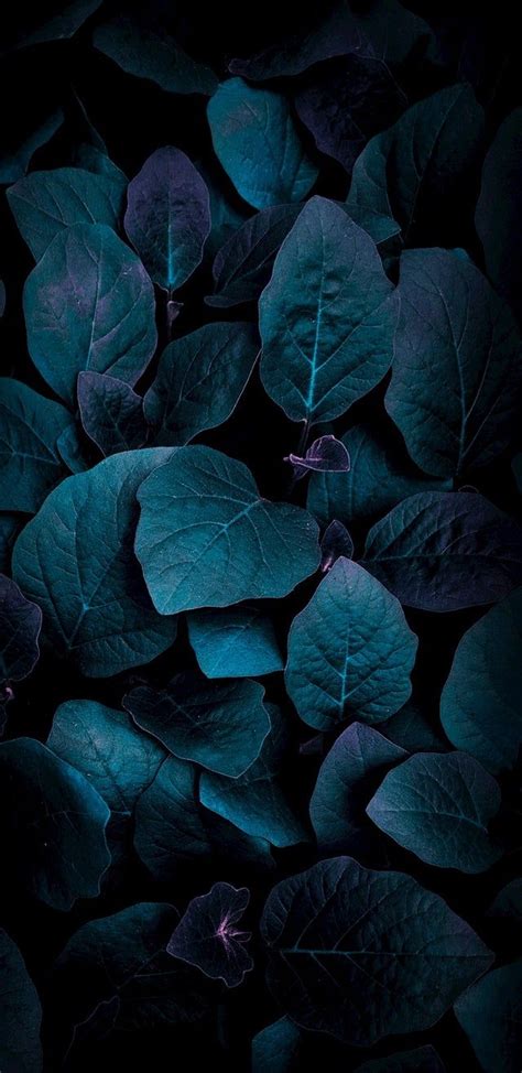 Blue Leaves Wallpapers - Wallpaper Cave