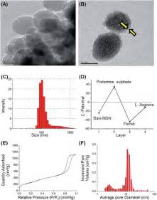 Characterization of the mesoporous silica nanoparticle. High resolution...