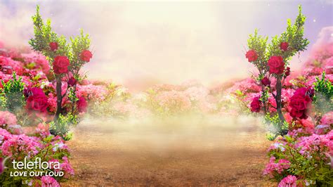 Nature virtual backgrounds for zoom - fadtruth