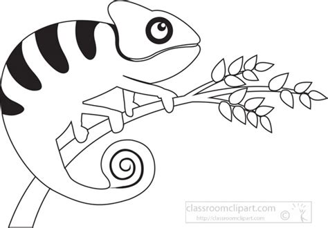 Animals Black and White Outline Clipart - cute-green-chameleon-reptile-clip-art-illustration ...