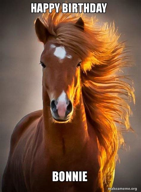 HAPPY BIRTHDAY BONNIE - Ridiculously photogenic horse Meme Generator