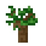 苗木 - Minecraft Wiki