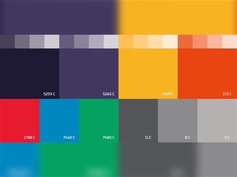 Brand Color Palette Examples by Borko Ćurčić on Dribbble