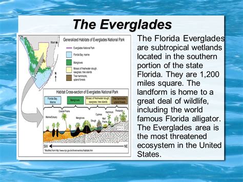 Florida's Landforms. - ppt video online download