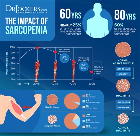 Sarcopenia: Top Strategies to Keep Muscle Mass as You Age