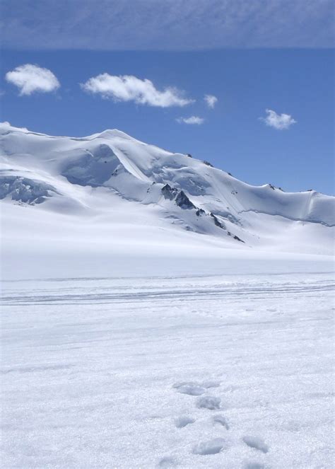 Yukon - Kluane - Flightseeing - Glacier | C E Steer | Flickr