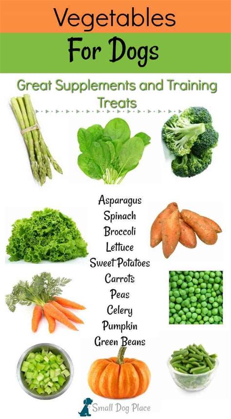 Vegetable For Dogs Benefits - health benefits