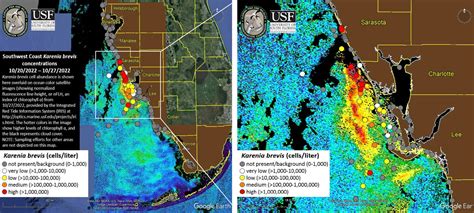 Map Of Florida Red Tide - Franny Antonietta