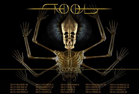 Tool Fear Inoculum Tour 2024 - Lida Sheila