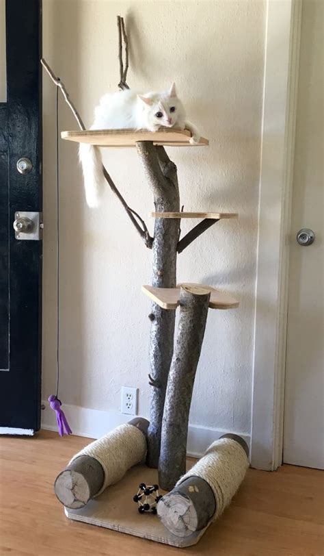 DIY Cat Tree: A Cat Sitting on Top of a Tree in the Middle of a Room with a Door