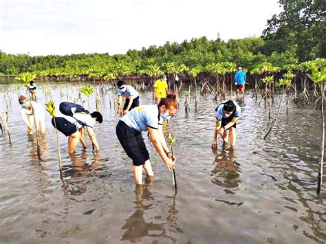 200 mangrove propagules planted in Nueva Valencia