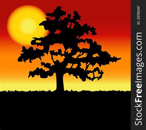 Sunset Landscape With Tree Silhouette. - Free Stock Images & Photos ...