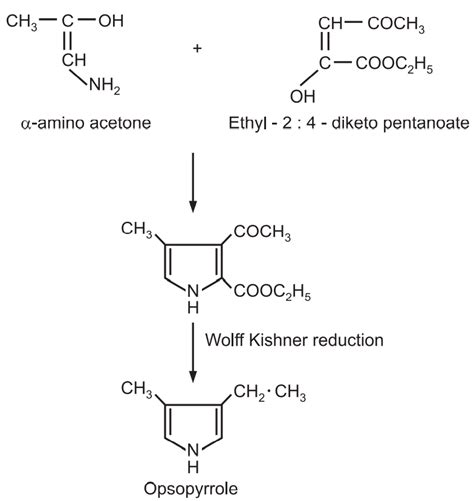 Wolff Kishner Reduction - Solution Parmacy