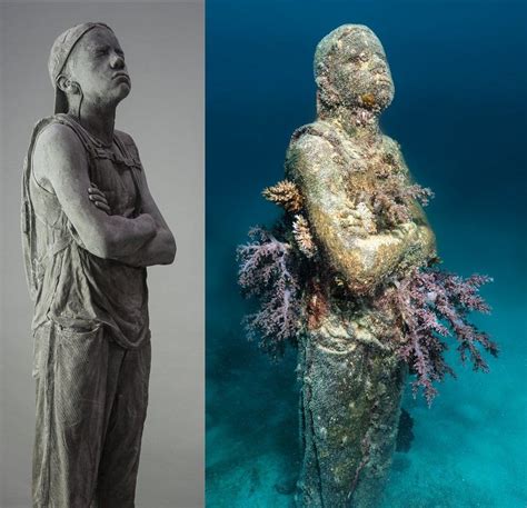 Amazing underwater sculptures appear on Great Barrier Reef - BBC Newsround