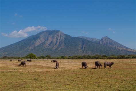 Baluran - East Java - Duniart - Photography and Blog by Toine IJsseldijk