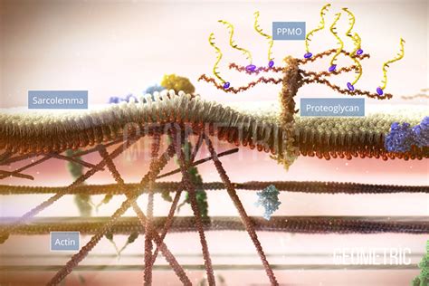 Gene Editing Animation | Geometric Medical