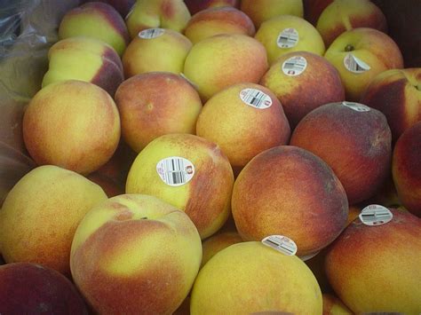 Millions of peaches... at our store this week (not for free, unfortunately). #LifesAPeach ...