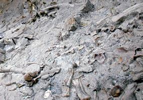 Morrison Formation - Dinosaur National Monument (U.S. National Park Service)