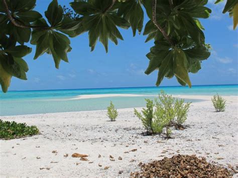 Rangiroa: crociera in catamarano nel paradiso della Polinesia Francese ...