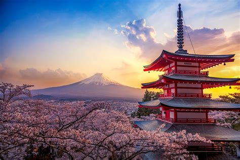 🌸 Spring Japan Photo Tour ⛩️ Photograph the Sakura Blossom