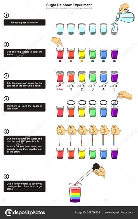 Sugar Rainbow Experiment Infographic Diagram Showing Density ...