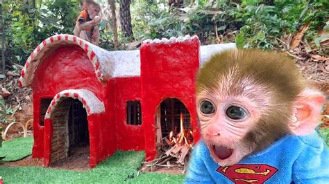 Building Forest Life - BiBi Monkey Building The Most Secret Mud House - Bon Bon Monkey Baby ...