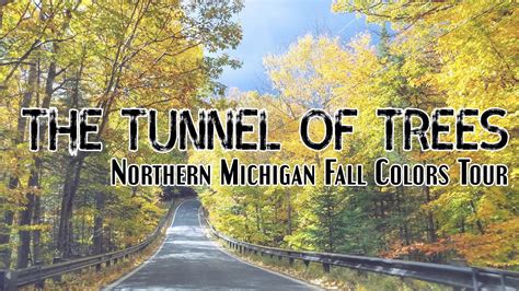 Exploring the Tunnel of Trees: Northern Michigan Fall Colors Tour (Harbor Springs, MI) - YouTube