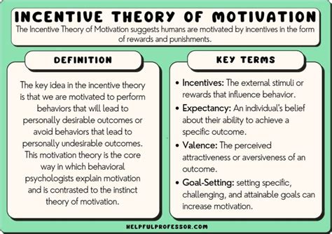 Incentive Theory of Motivation: Examples & Easy Definition (2024)