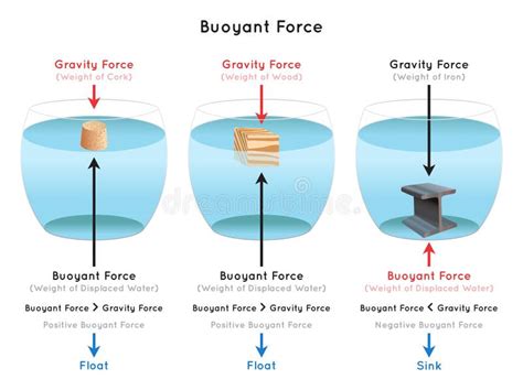 Buoyant Force Infographic Diagram Examples of Cork Wood Iron Stock ...