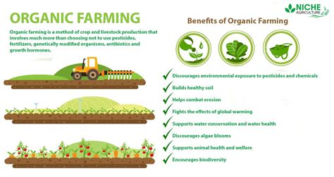 Livestock Benefits Organic Farming - Livestock Cattle