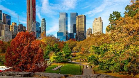 Central Park fall foliage - backiee