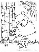 Panda Eating Bamboo Coloring Page  ColoringBay sketch template