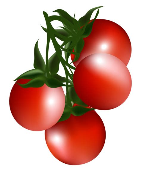 Tomato Clipart