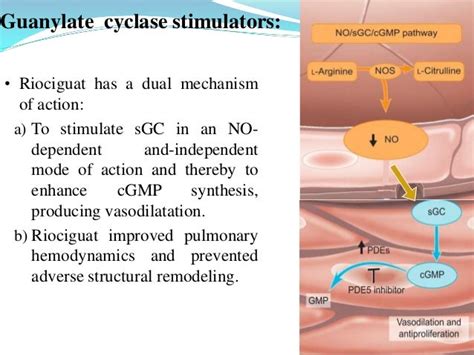 Advance therapy in hypertension... jyoti..ppt