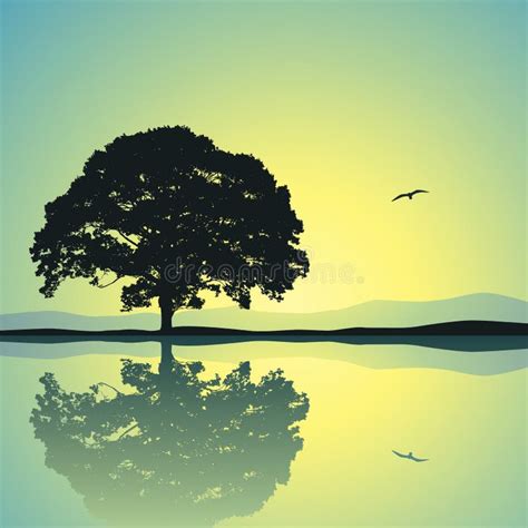 Tree Water Reflection Stock Illustrations – 36,647 Tree Water ...