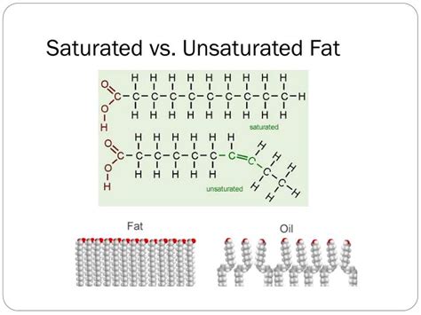 PPT - Introduction in Biochemistry PowerPoint Presentation - ID:2589139