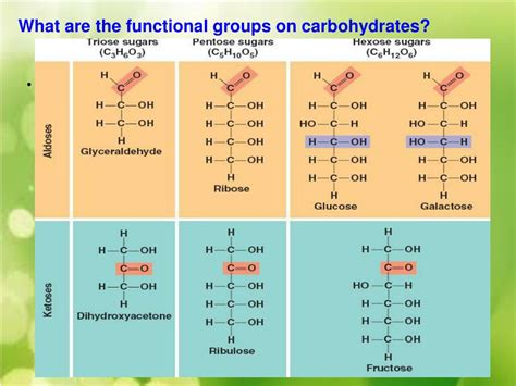 PPT - Unit #1 Biochemistry The Chemistry of Life PowerPoint ...