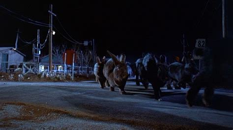 ‎Night of the Lepus (1972) directed by William F. Claxton • Reviews ...