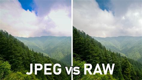 RAW vs JPEG Format Editing in Lightroom | Lightroom editing, Raw vs jpeg, Lightroom