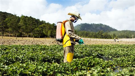 Pesticide Applicator Safety | Effects of Pesticide Exposure | Pesticide Facts