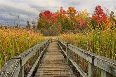 Autumn colour at the Old Quarry Trail - Ottawa - Pentax User Photo Gallery