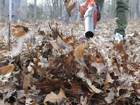 Sag Harbor Village Considers Partial Ban on Leaf Blowers - 27 East