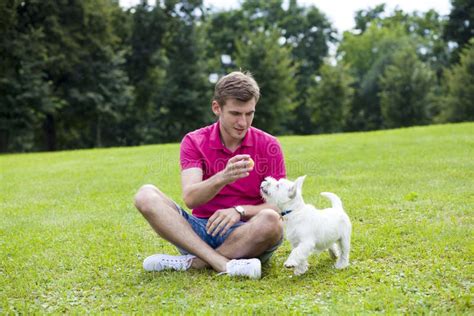 Young Man Playing with His Dog in the Park Stock Image - Image of adult ...